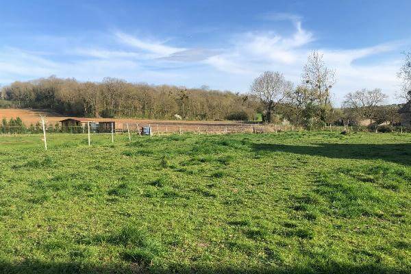 photo Beau terrain plat